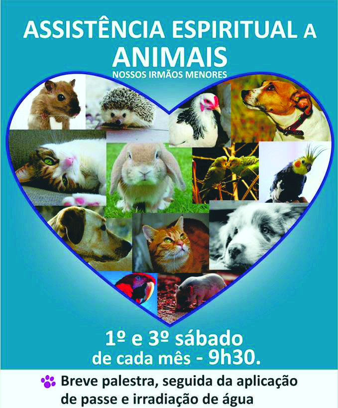 cartaz-tratamento-em-animais_sidebar